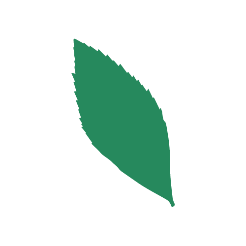 green leaf