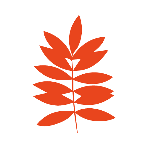 orange leaf