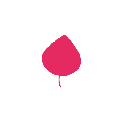 pink leaf