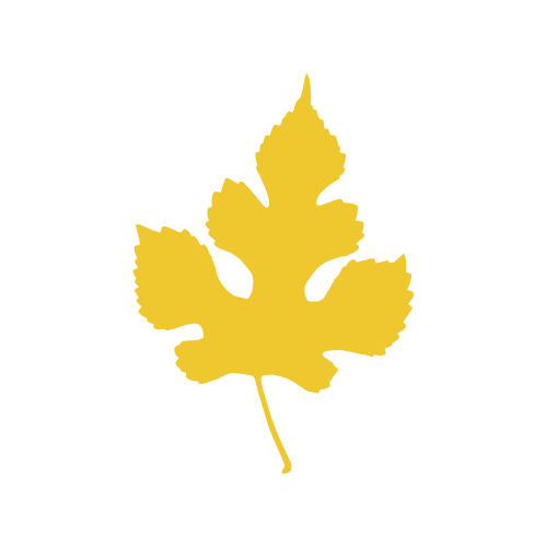 yellow leaf